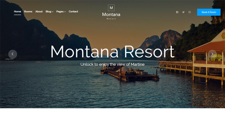 Montana template preview