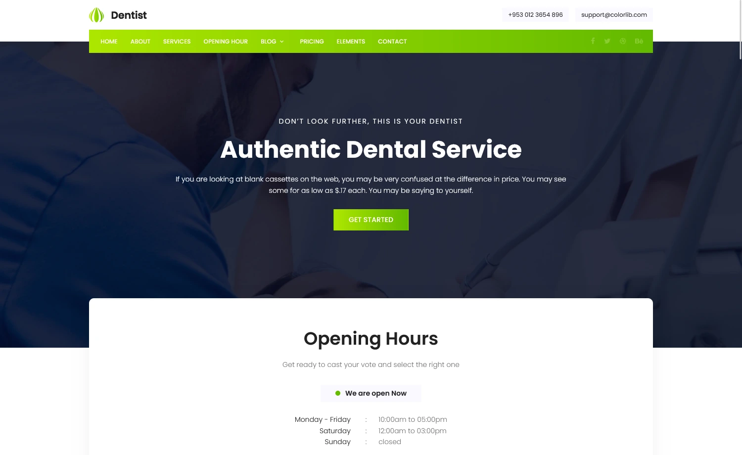 Dentist template preview