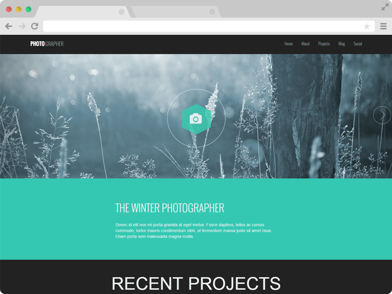 Photographer template preview